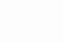 International triennale of contemporary art