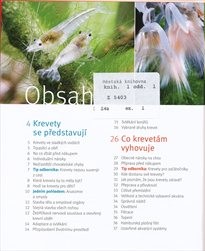 Sladkovodní krevety