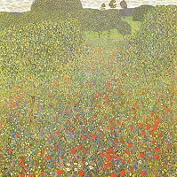 Campo di papaveri