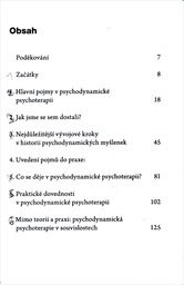 Psychodynamická psychoterapie