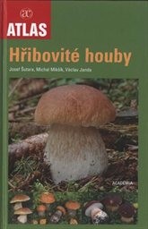 Hřibovité houby