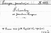Selanky