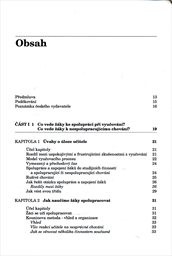 Strategie ř&iacute;zen&iacute; tř&iacute;dy