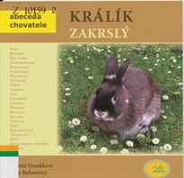 Králík zakrslý