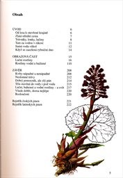 Rostliny na louce a u vody