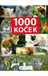 1000 koček