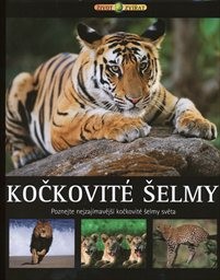 Kočkovit&eacute; šelmy