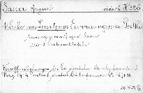 Ulrike von Levetzows Erinnerungen an Goethe