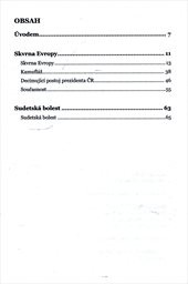 Skvrna Evropy