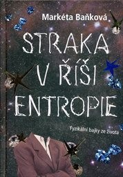 Straka v říši entropie