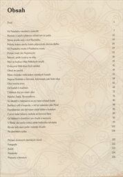 Zmizel&aacute; Plzeň