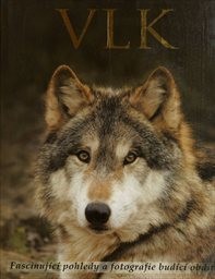 Vlk