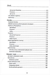 Jak pěstovat "indoor"