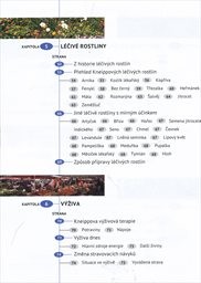Kneippova léčebná metoda