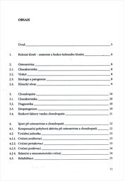 Osteoartróza a chondropatie kolenního kloubu pro farmaceuty