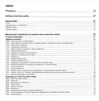 Mezin&aacute;rodn&iacute; r&aacute;mec profesn&iacute; praxe intern&iacute;ho auditu