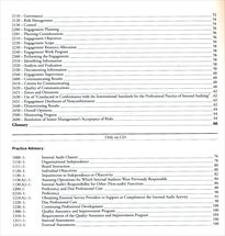 Mezin&aacute;rodn&iacute; r&aacute;mec profesn&iacute; praxe intern&iacute;ho auditu