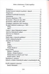 Isl&aacute;m a islamismus v Česk&eacute; republice