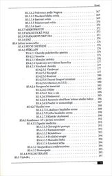 Aurikuloterapie v řádu a praxi