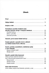 Pravěk česk&yacute;ch zem&iacute; v evropsk&eacute;m kontextu