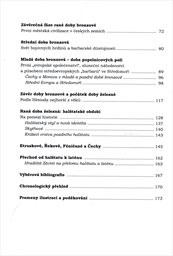 Pravěk česk&yacute;ch zem&iacute; v evropsk&eacute;m kontextu