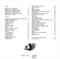 Rok na vsi, aneb, Kalendářové vyprávění Dorotky a Jakuba z 19. století