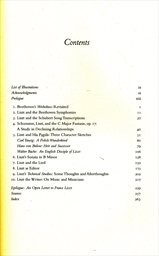 Reflections on Liszt