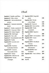 Borgiov&eacute; a jejich nepř&aacute;tel&eacute;