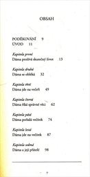 Jak být dokonalá dáma