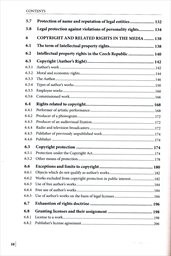 Mediální právo a práva k nehmotným statkům v České republice