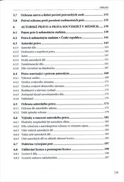 Mediální právo a práva k nehmotným statkům v České republice