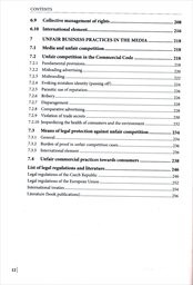 Mediální právo a práva k nehmotným statkům v České republice