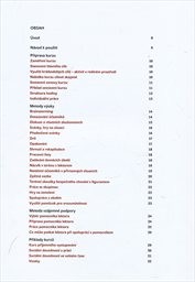 Metodika podpory sociálních dovedností, aneb, Jak připravit a vést kurzy sociálních dovedností pro lidi s mentálním postižením