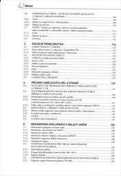 Studie současného stavu podpory umění
(Svazek II,)