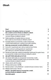 Rovn&eacute; př&iacute;ležitosti žen a mužů ve městech a obc&iacute;ch - jak zač&iacute;t?