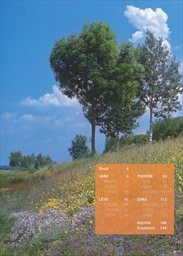 Rok v př&iacute;rodě