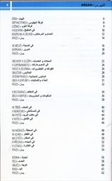 1000 arabsk&yacute;ch slov&iacute;ček