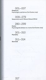 Nespoutan&yacute; vesm&iacute;r