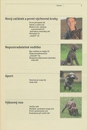 Výchova štěněte loveckého psa