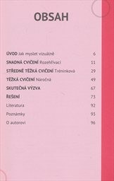 Vizu&aacute;ln&iacute; myšlen&iacute;