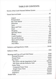 401 Czech verbs