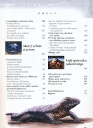 Zem pred dinosaurami