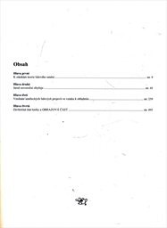 Výroční obyčeje a lidové umění