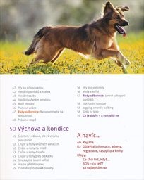 Cvičen&iacute; a hry se psem