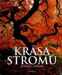 Krása stromů