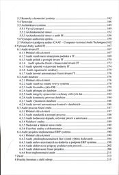 Audit informačn&iacute;ho syst&eacute;mu