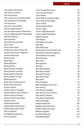 Stromy pro s&iacute;dla a krajinu