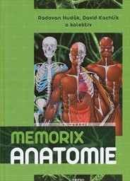 Memorix anatomie