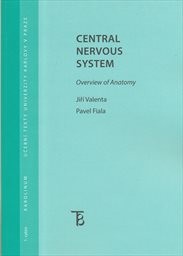 Central nervous system