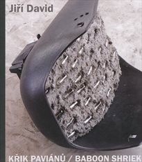 Jiří David